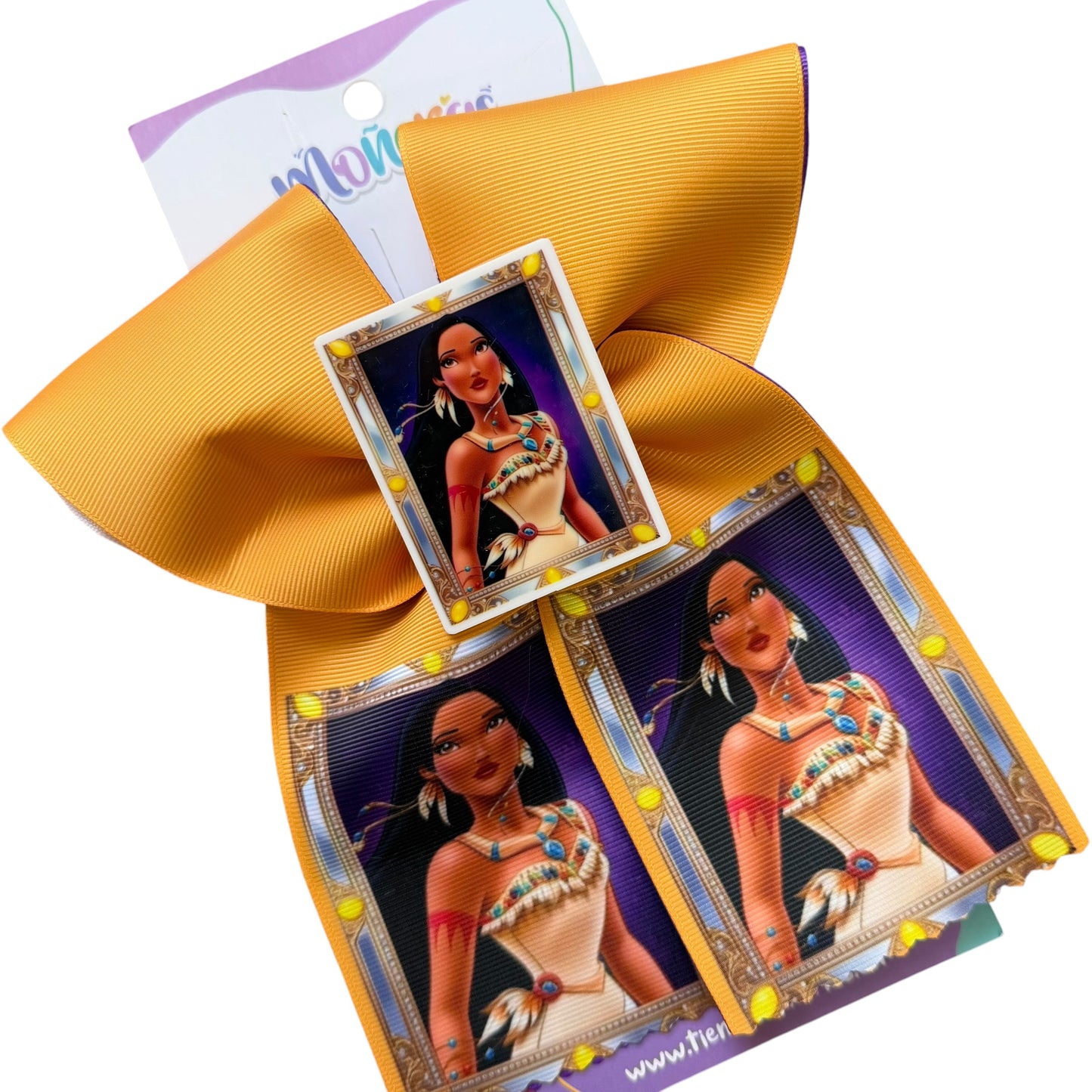 Colección Princesas Enmarcadas