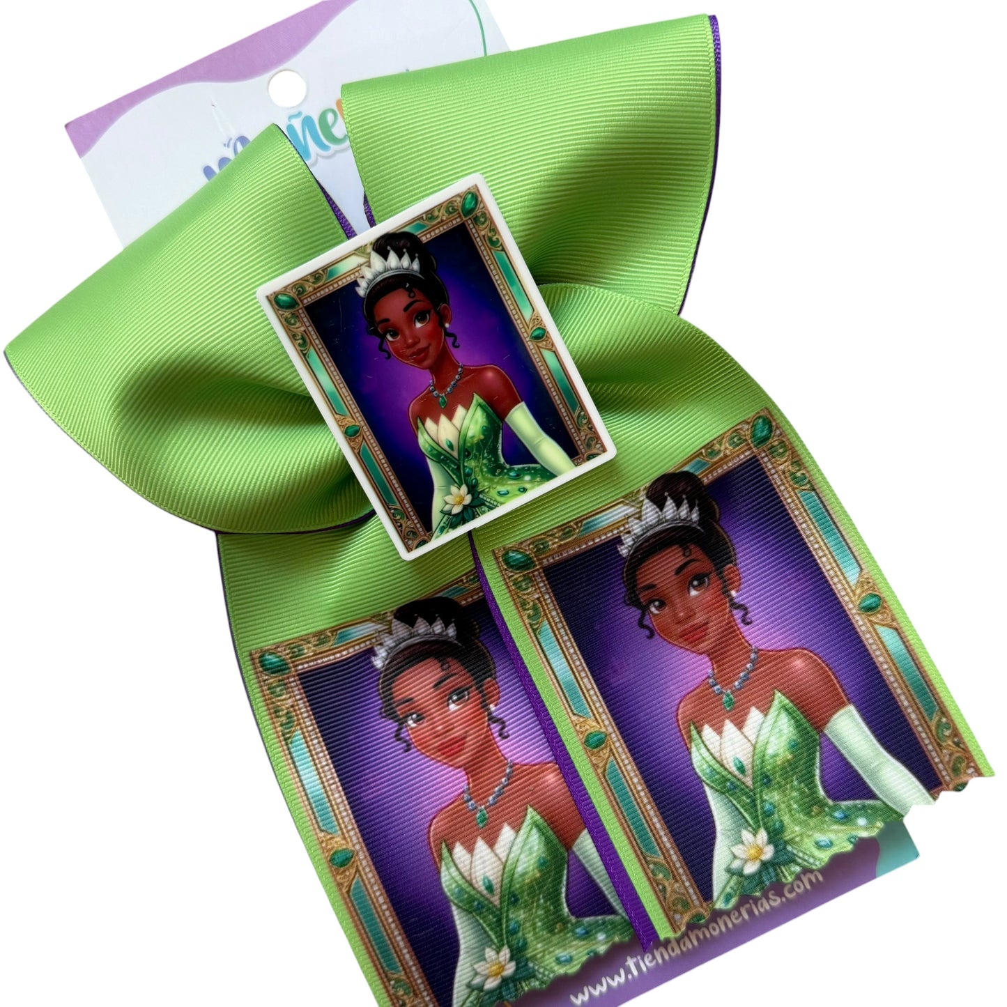 Colección Princesas Enmarcadas